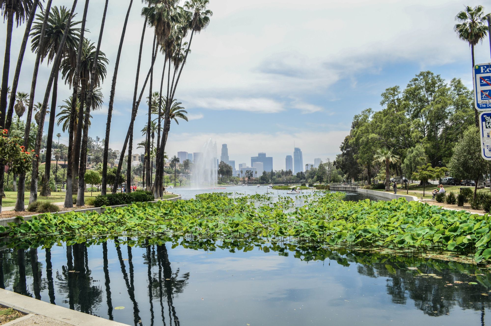 Silver Lake Echo Park St James Canter Silver Lake Echo Park St James Canter